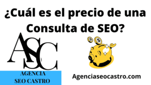 ¿Cuál es el precio de una Consulta de SEO?